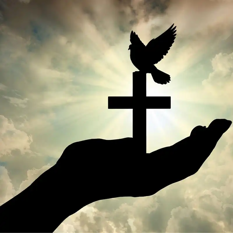 powerful daily prayers with hand holding cross and bird